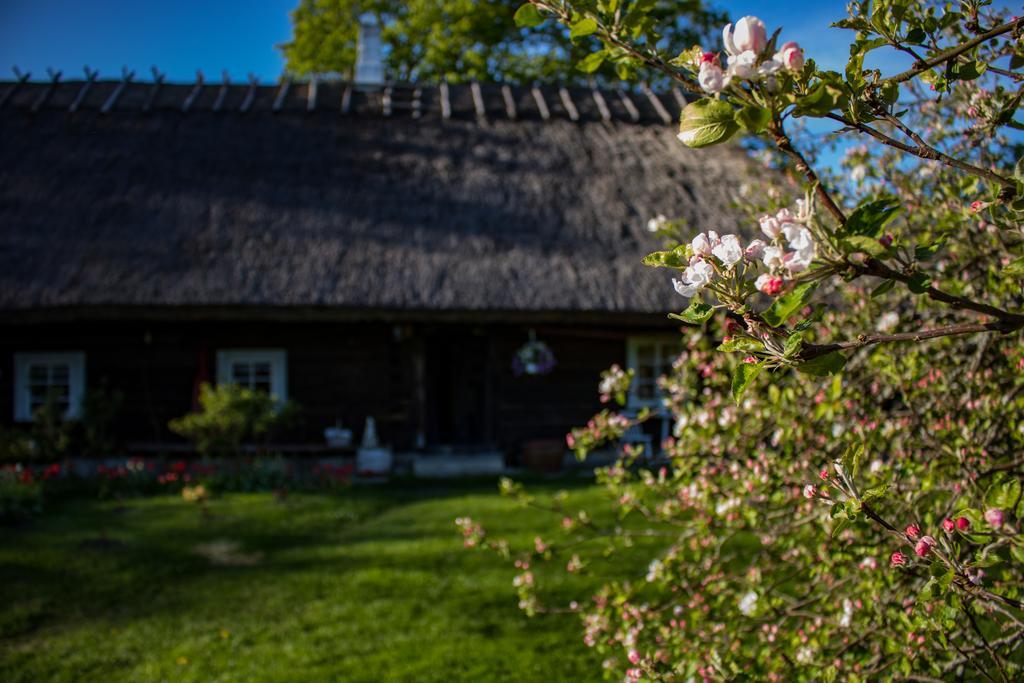 Вілла Kuusetuka Tourism Farm Pahkla Екстер'єр фото
